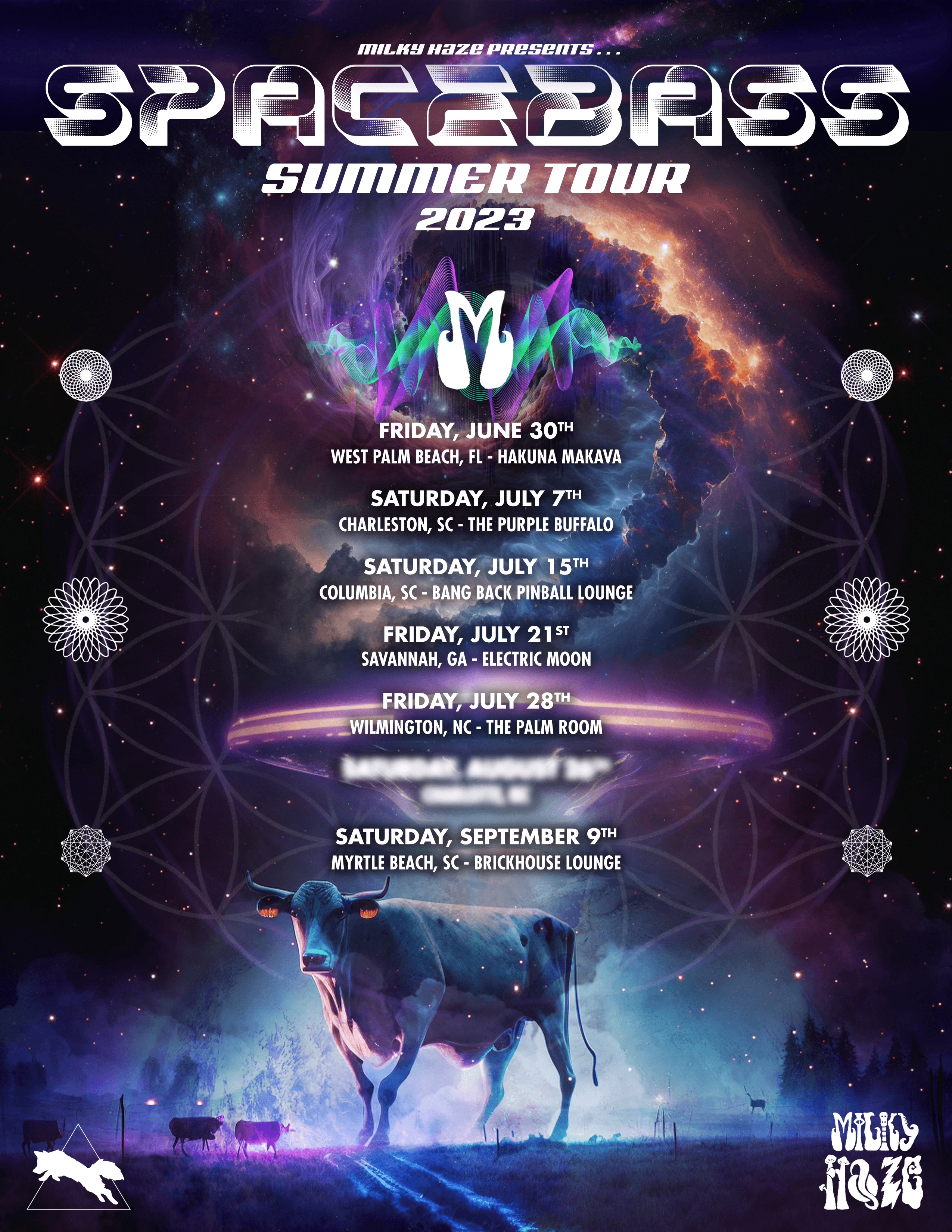 Spacebass Tour Flyer